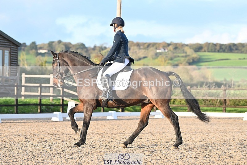 231105-153340-03064 - Cls 4 Novice 24 15.24 to 16.35 break