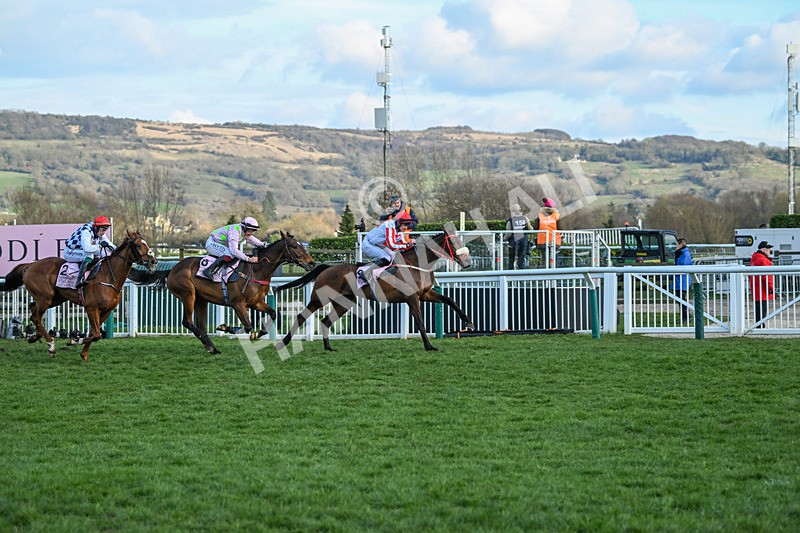 140325-The Real Whacker-WR-5649 - 14th March