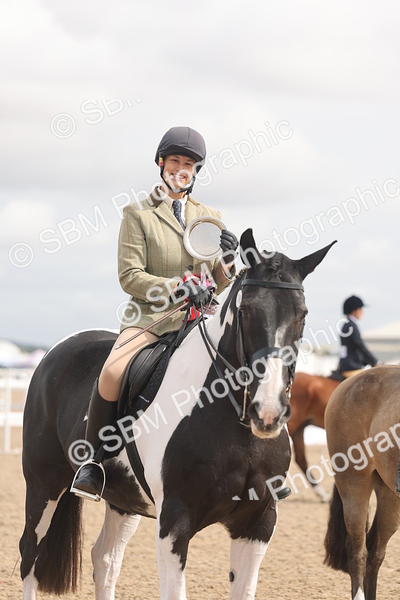 SBM_04573 - Class 19 - Horse/Pony Judge would most like to take home