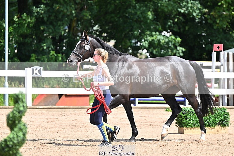 240718A-105243-01062 - Trot Up 11am to 12pm