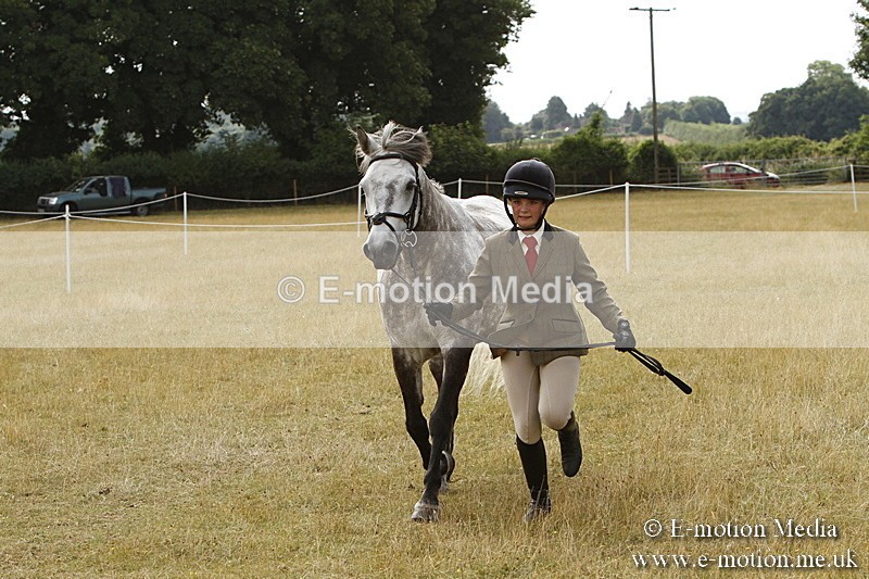 _BS_0579 - BVRC Show 2018 Ring 3