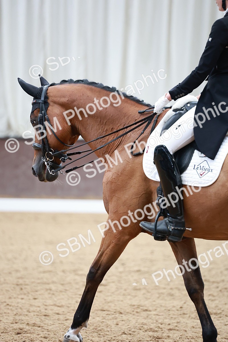 SBM_009635 - Class 13 - FEI PSG - 11.06-12.34