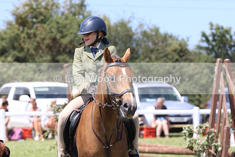 JPP_2763 - Class 21: Working Hunter 60cm