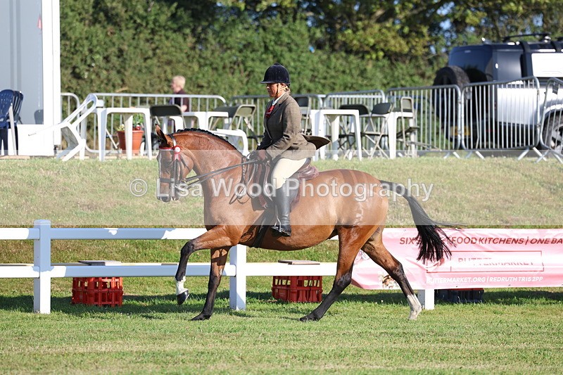 3E7A5015 - Class 1: Rising Star Small Hack/Riding Horses