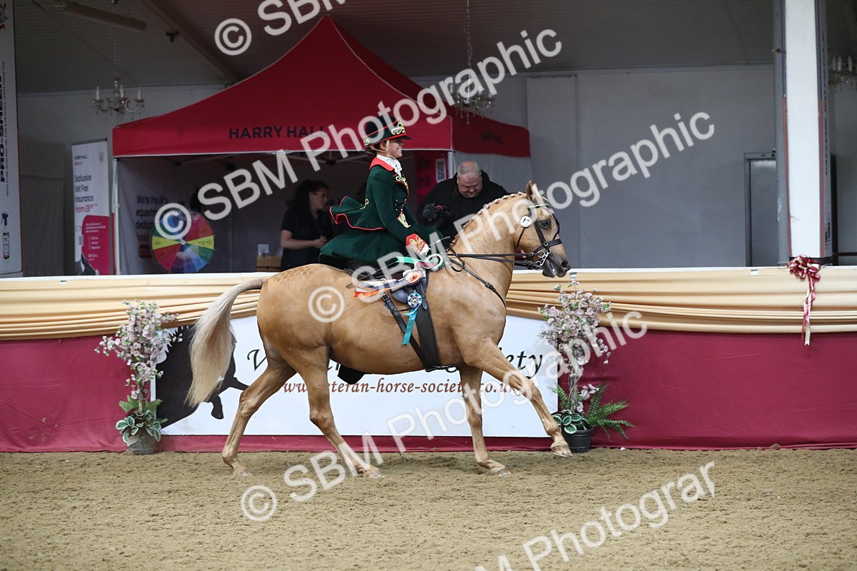 SBM_11647 - Class 105 Ridden Costume- Side Saddle