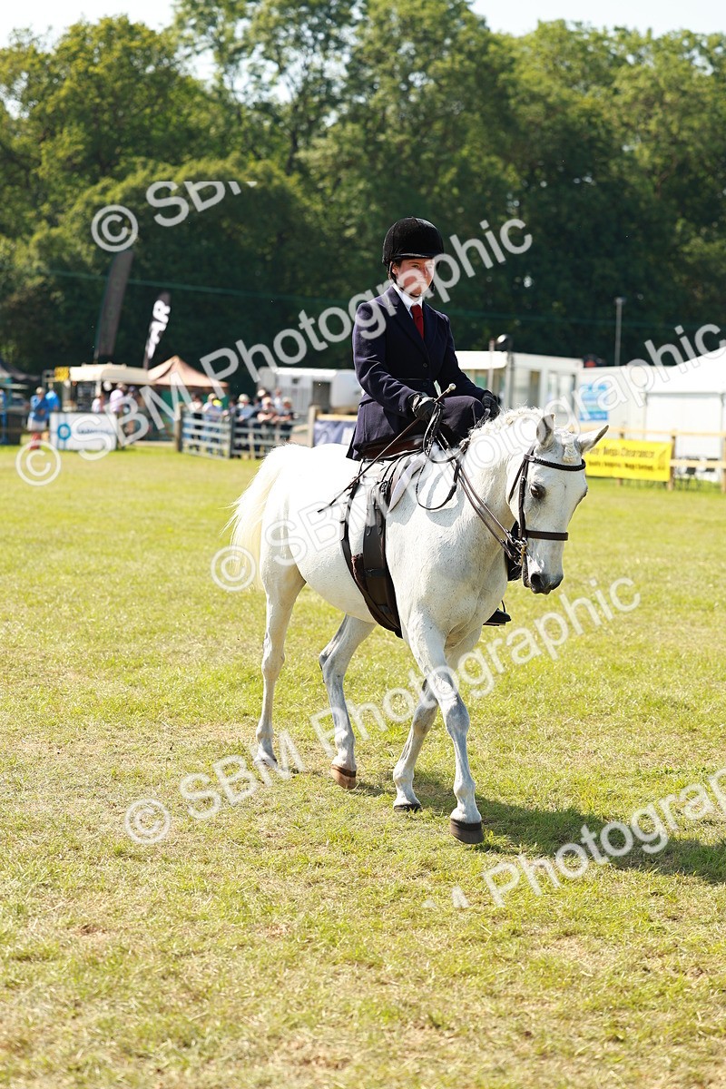 SBM_13182 - Class 70-71 - Side Saddle