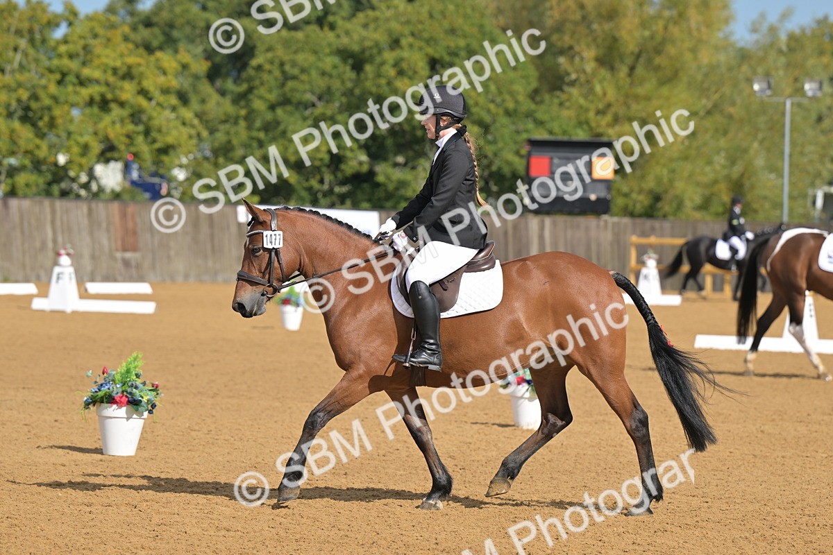 SBM_03683 - D2 - Small Tour Championship Intro 2
