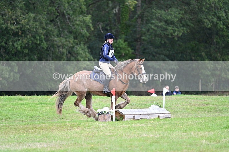 WJ7_7728 - 40cm Time 10:49 to 11:18