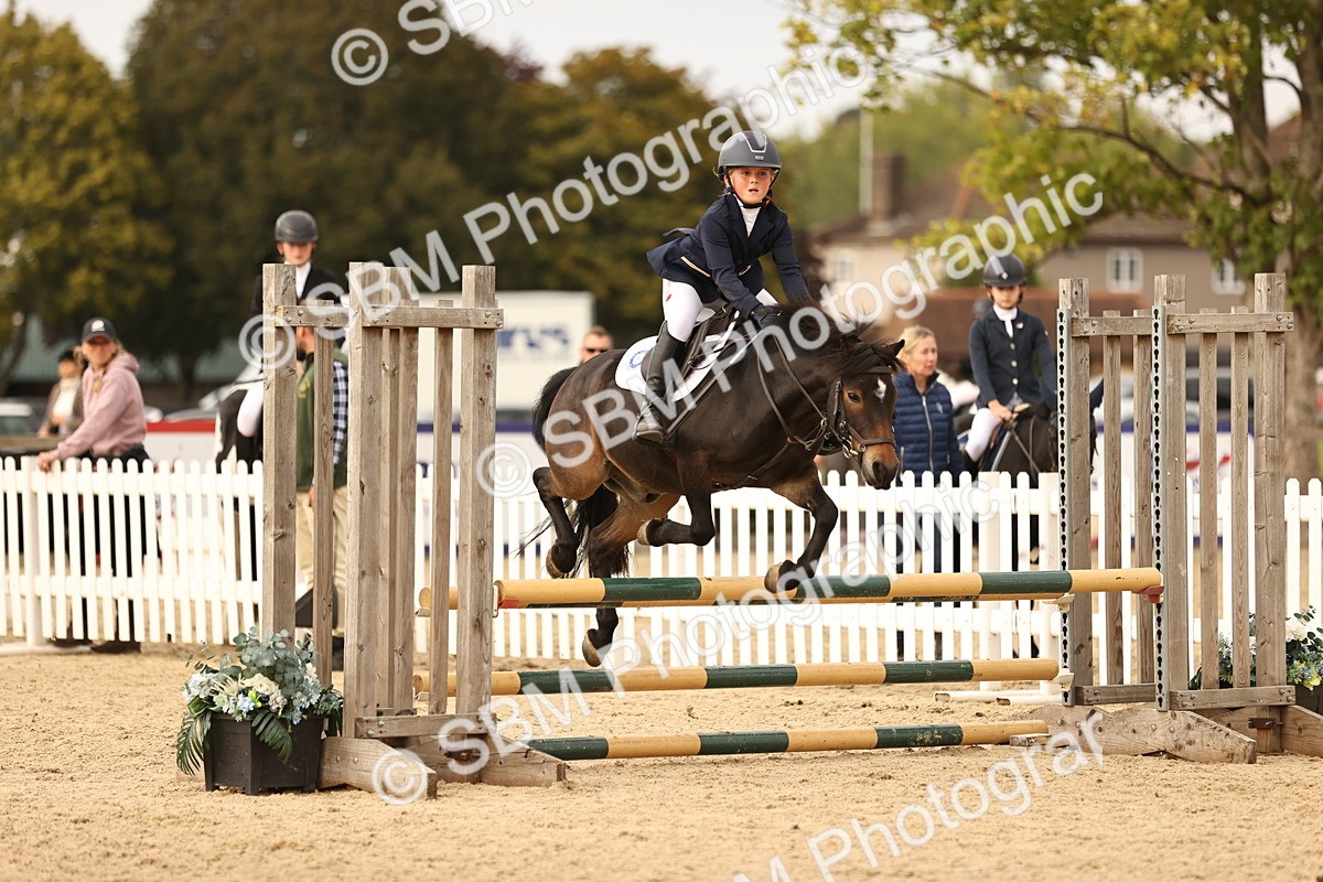SBM_74352 - J14 - Junior Pony 65cm Championship