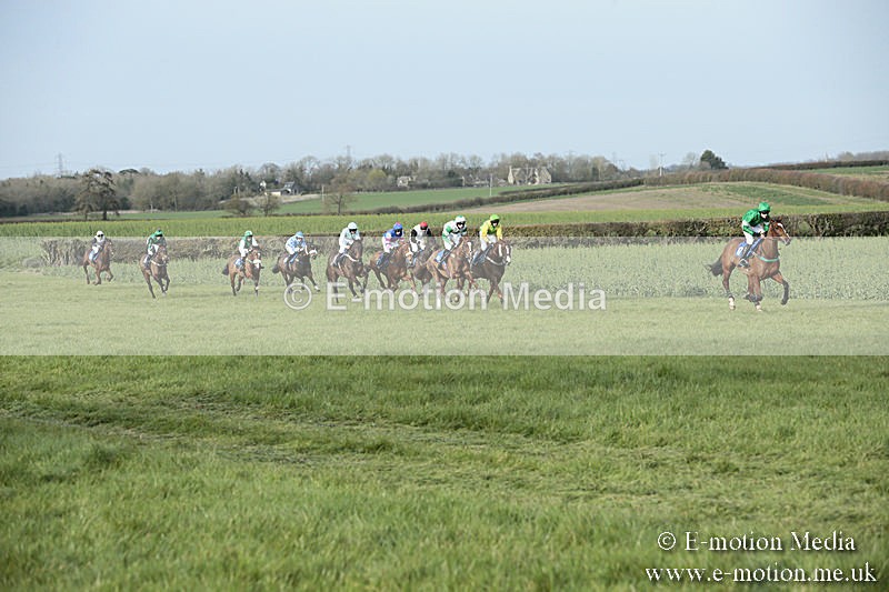 PtP 230319 454 - VWH Hunt Siddington Point-to-Point Racing 23/03/19