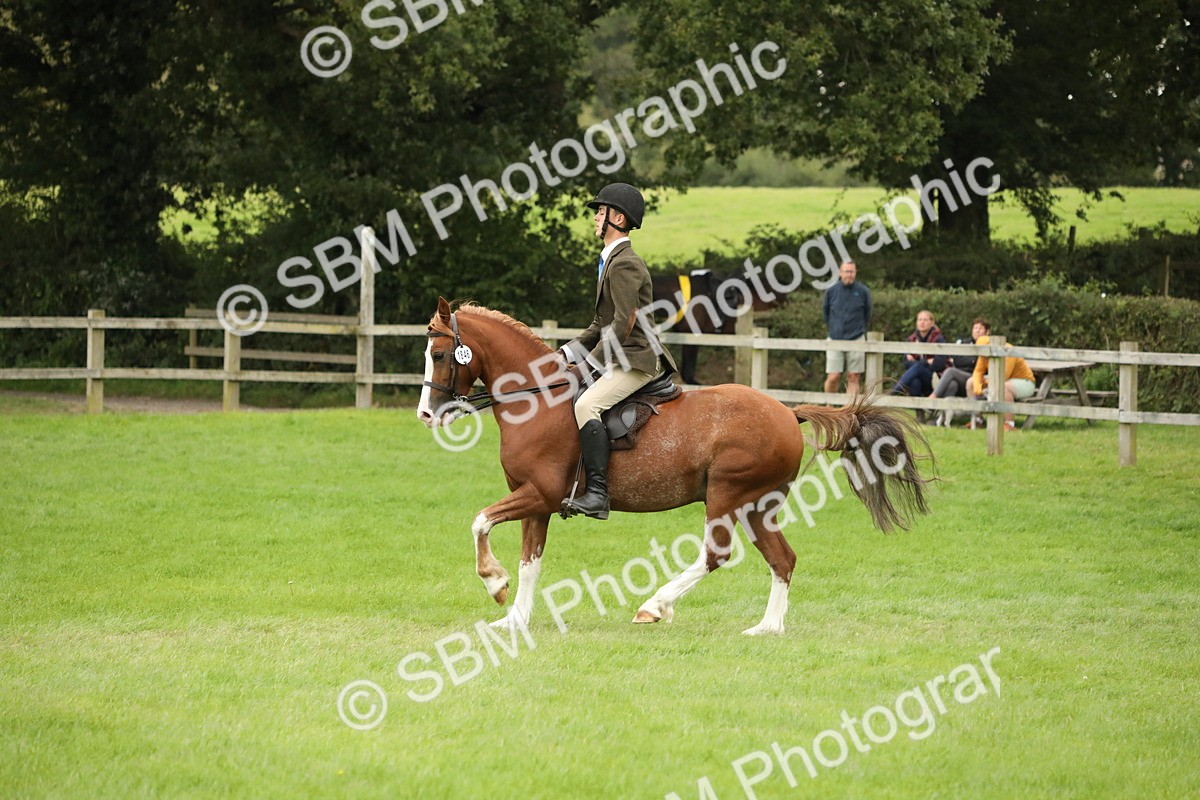 SBM_73789 - S41 - Ridden Equitation (Best Rider)