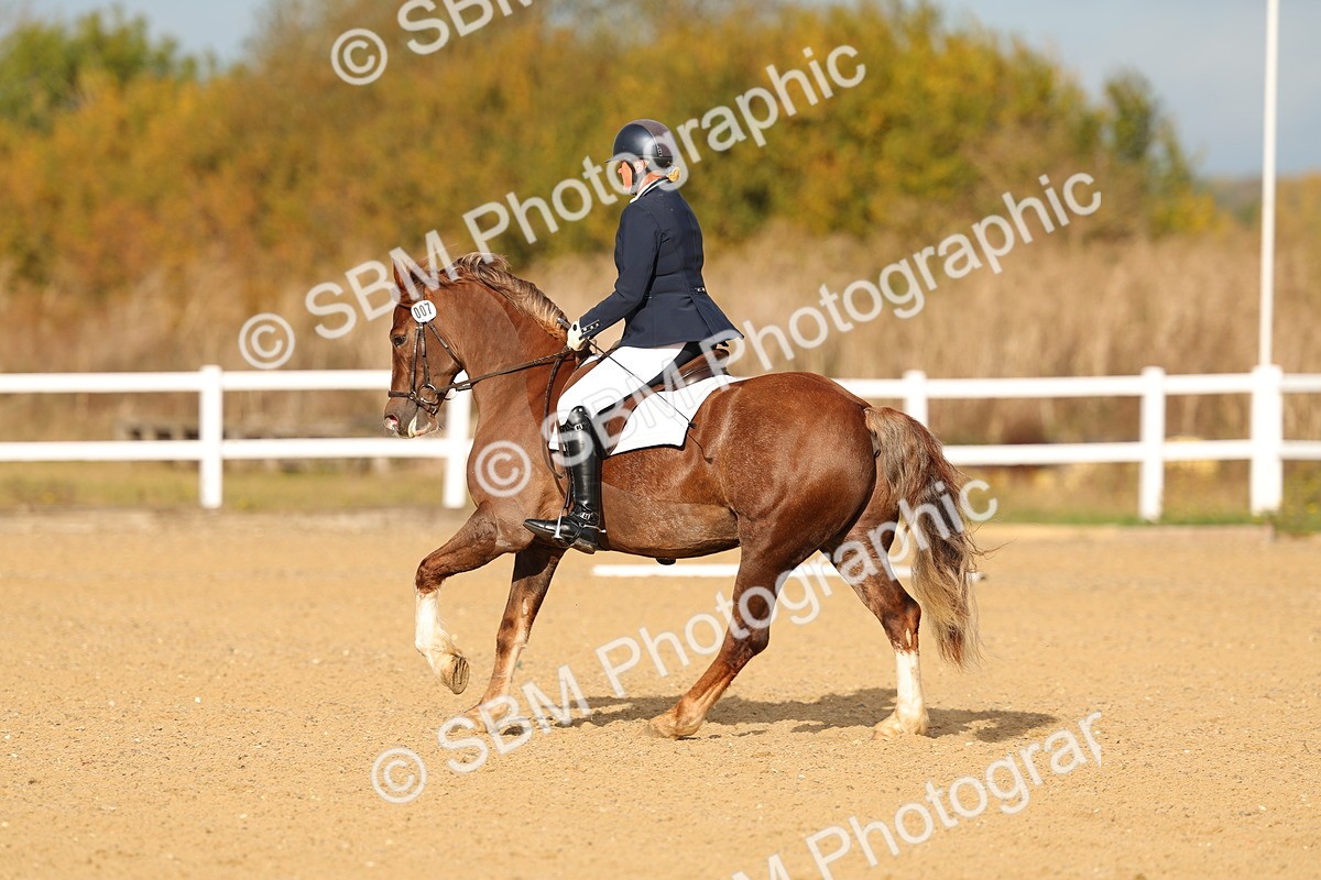 SBM_009304 - Class 1 - P4