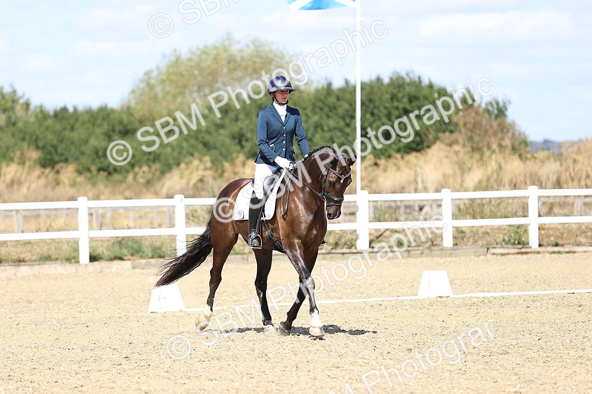 SBM_013971