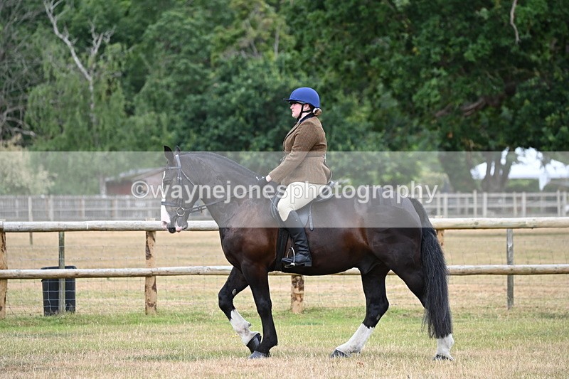 WJ6_3780 - Class 9 Tack & Turnout