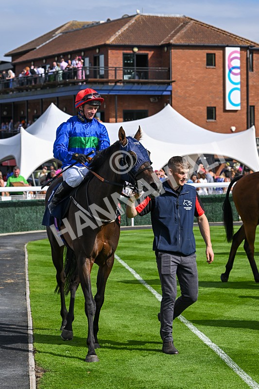 140824-Race 4-Queens Road Revue-6510 - Race 4