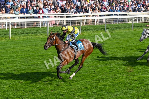 220825-Race 5-Cape Flora-7681 - Race 5 4.10pm Assured Data Protection EBF Fillies' Handicap