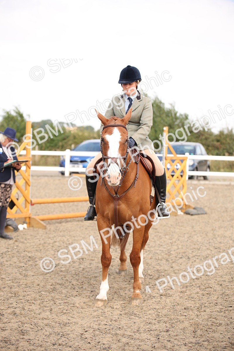 SBM_13617 - Class 406b - Working Veteran 50cm (20+)