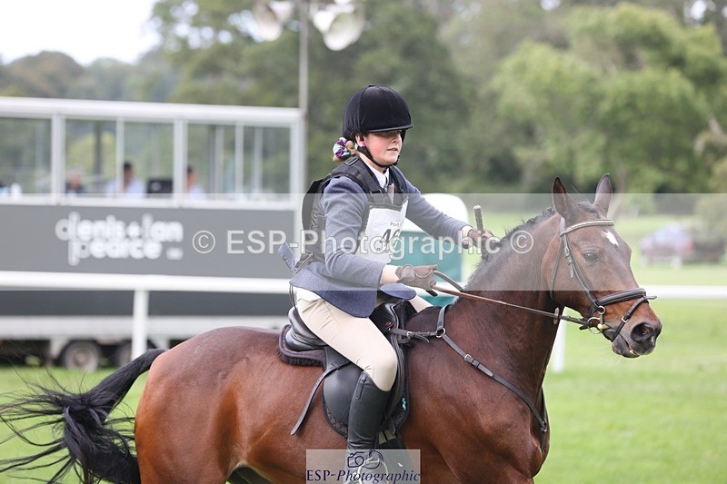 230805-164214-05485 - SJ 16.30 to End