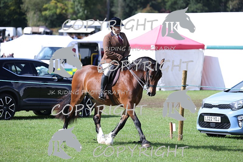 APP_3476 - Class 12 M&M ridden