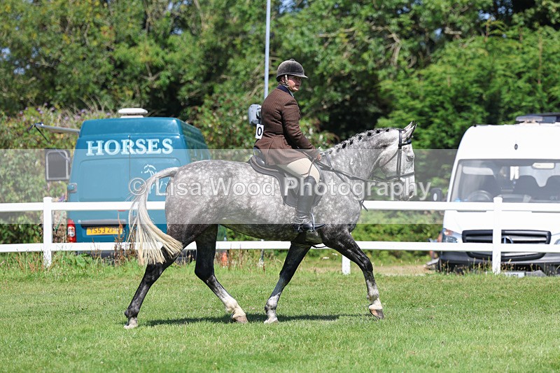 3E7A8932 - Class 6: Open Working Horse