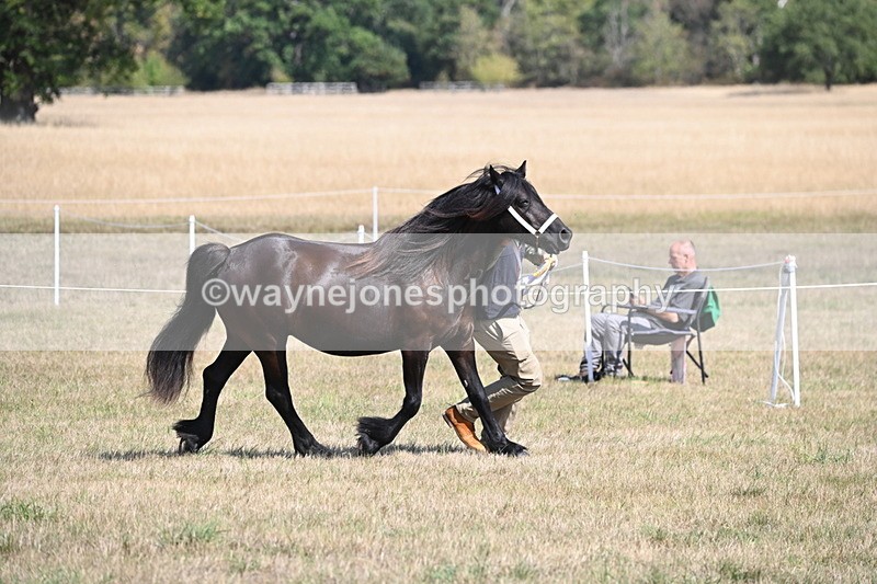 WJ6_5115 - Class 17 Mountain & Moorland