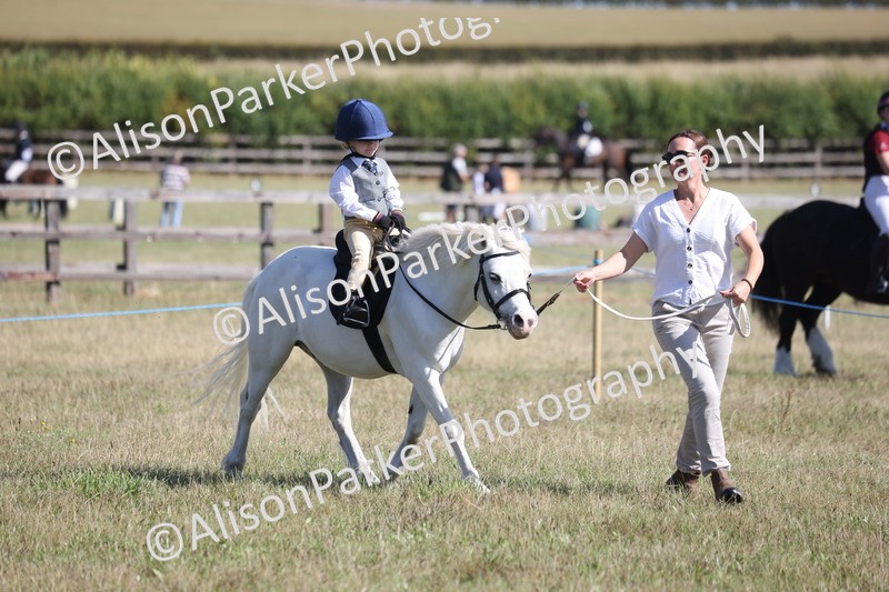 20260906-2295 - Class 16 - Family Pony