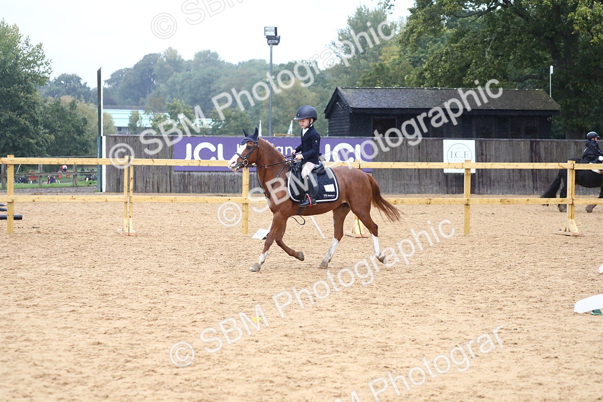 SBM_71559 - J4 - Mini Tour Junior Pony 45cm Championship