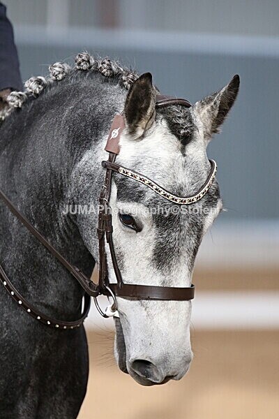 SIAL6956 - GDG Bogenraith Friday 26th Sept 2025