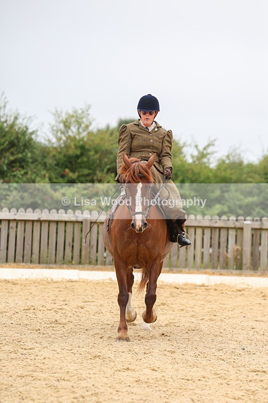 3E7A5487 - Class 2: Intro 4 2024 section B