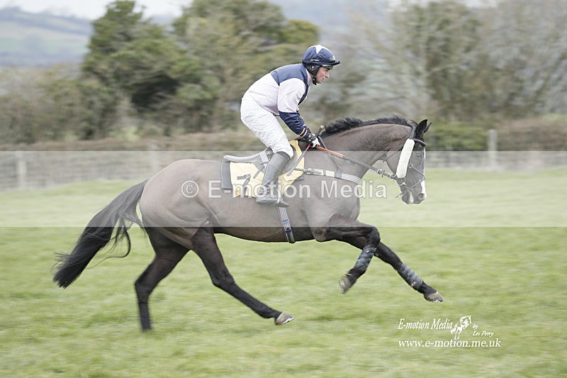 PtP 050323 420 - Blackmore & Sparkford Vale Hunt PtP - Somerset 05/03/23
