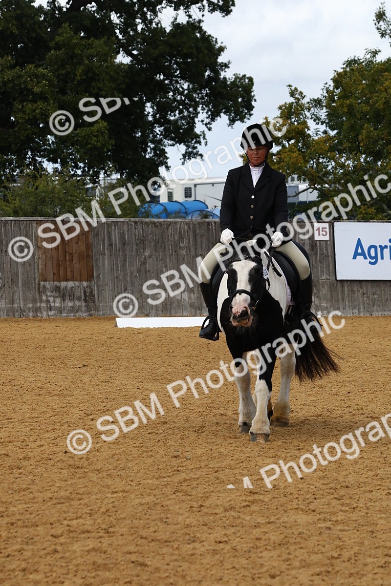 SBM_23434 - D5 - Small Tour Championshop Intro 2