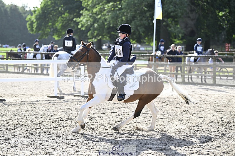 240823X-095757-14998 - 60cm R2 9.30 to 11.00