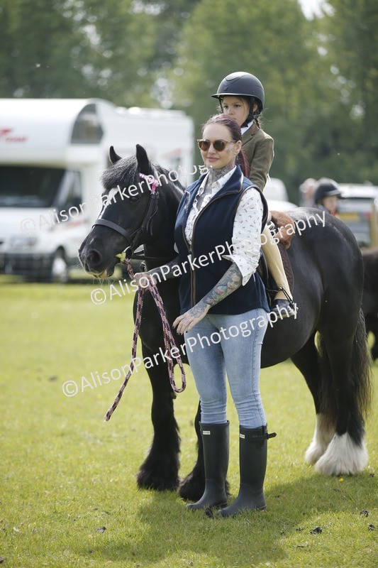 20260426-1904 - Class 7 - Pony Judge Would Most Like To Take Home