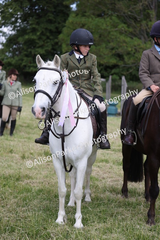 20260614-0833 - Class 20 - Beginners Working Hunter Pony