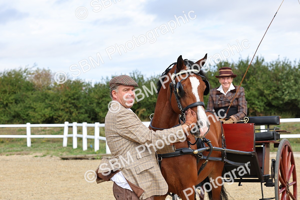 SBM_000935 - Class 8 - Novice Horse or Pony to any vehicle