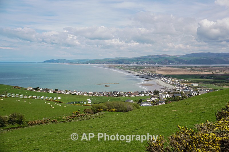 ACP02336-1 - Borth
