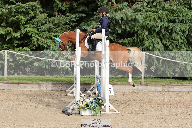 240823X-164724-19907 - 70cm Single Phase All