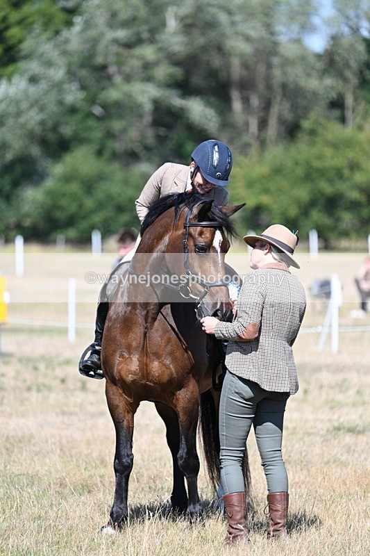 WJ7_4210 - Class 9 Mountain & Moorland Ridden