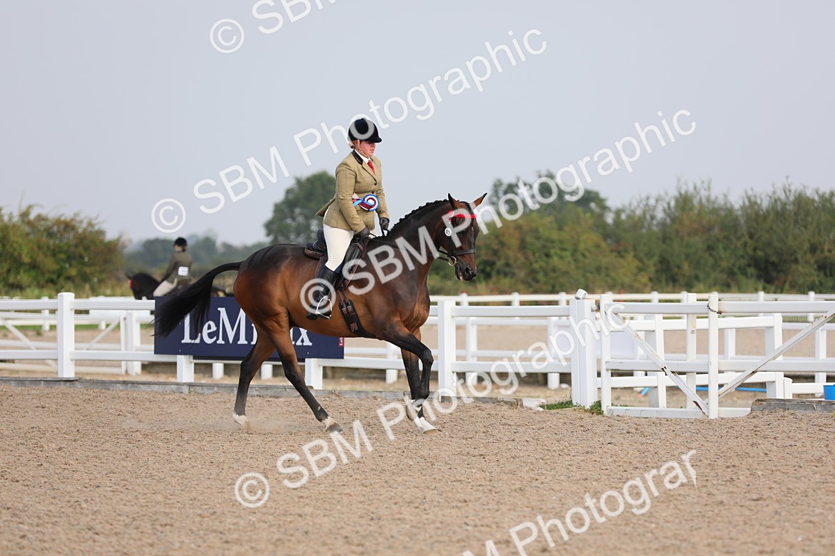 SBM_10743 - Class 303 Ridden Pure Bred Horse/Pony (excl M&M)