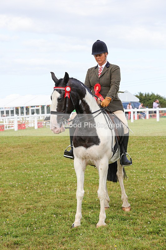 1X9A3084 - Class 26: Ridden Plaited Coloured Pony