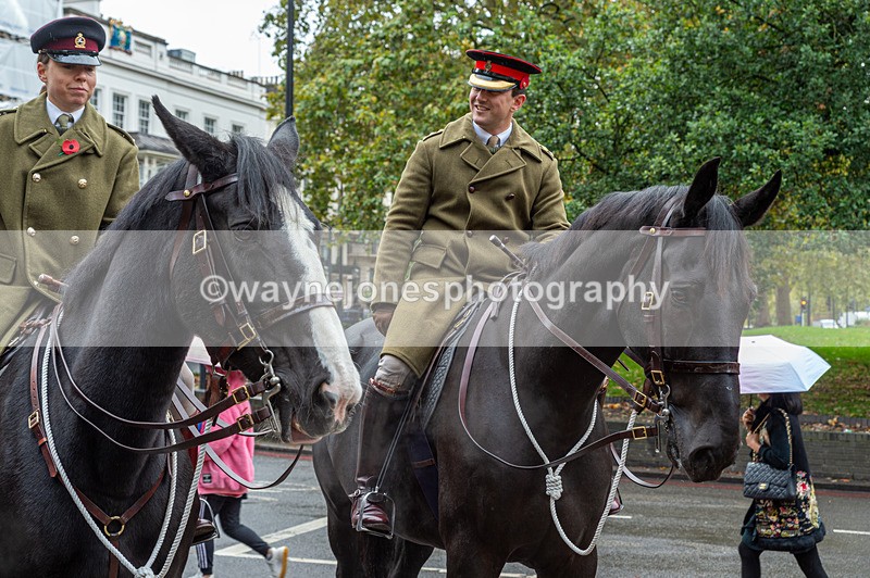 NGP_7077 - Animals In War Memorial - 10-11-23