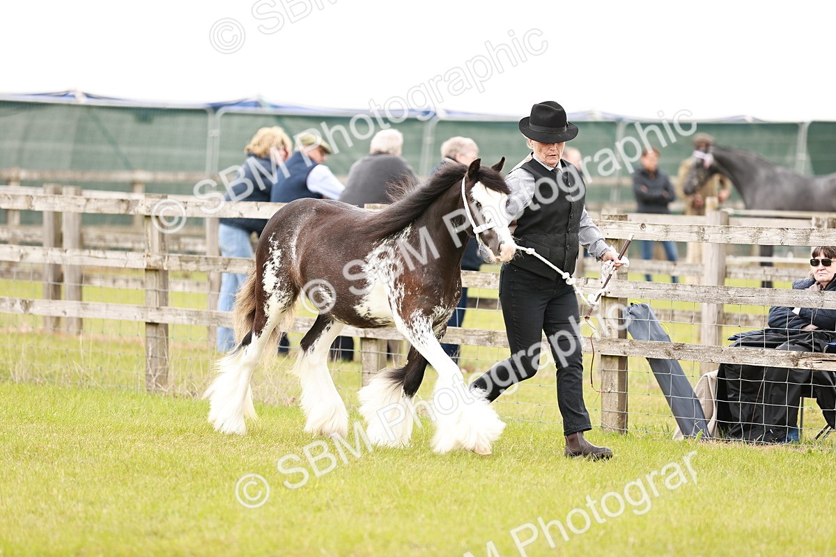 SBM_05950 - Class 39-41 TGCA In Hand and Ridden