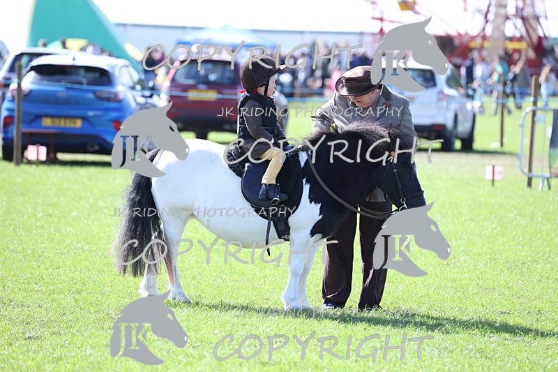 APP_3834 - Class 13 Lead rein