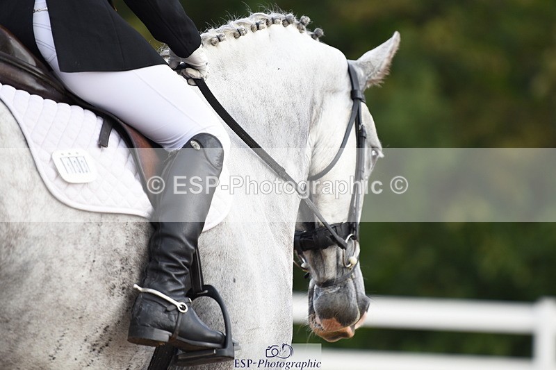 230912A-101110-00271 - Cls 2 Prelim 19