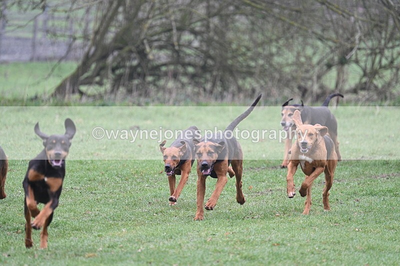 WJ7_0047 - Line 1 cam A