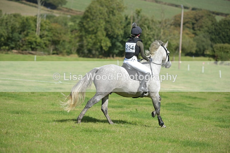 RAY_8685 - Class 2: Trekenning Open: Wall