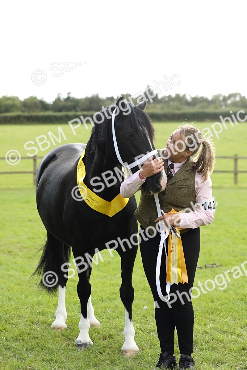 SBM_65522 - S47 - Mountain & Moorland In Hand Large Breeds