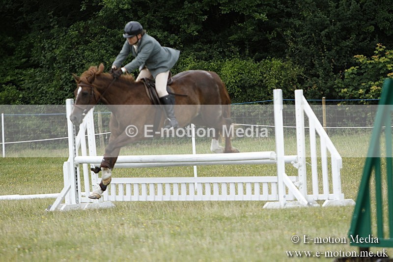 BVR160717-367 - Ring 3 BVRC Show 16/07/17