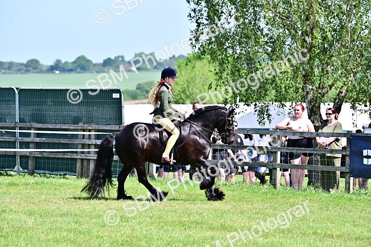 SBM_13878 - Class 95-97 - BSPS LHS Performance Ponies