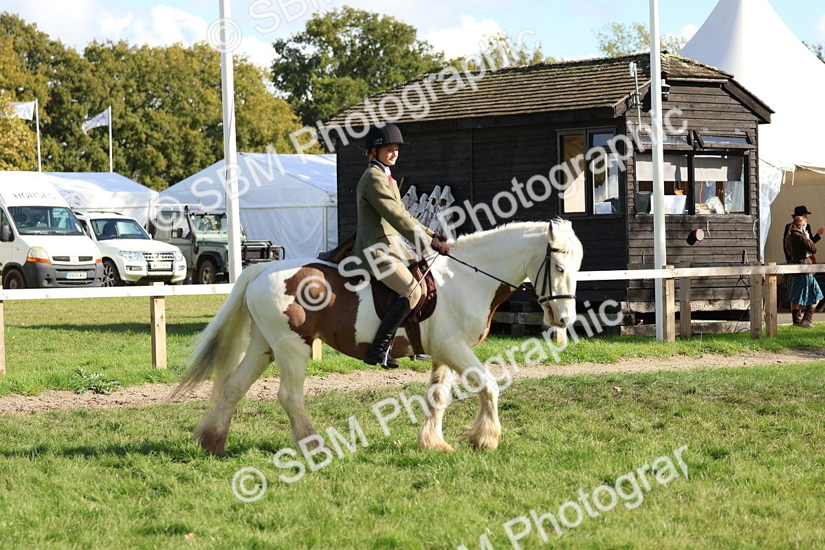 SBM_52356 - S13 - Pony Club Pony